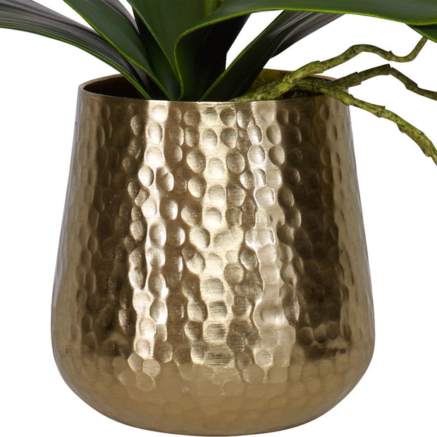 Uttermost Cami Orchid, Brass Botanicals