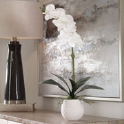 Uttermost Cami Orchid Botanicals