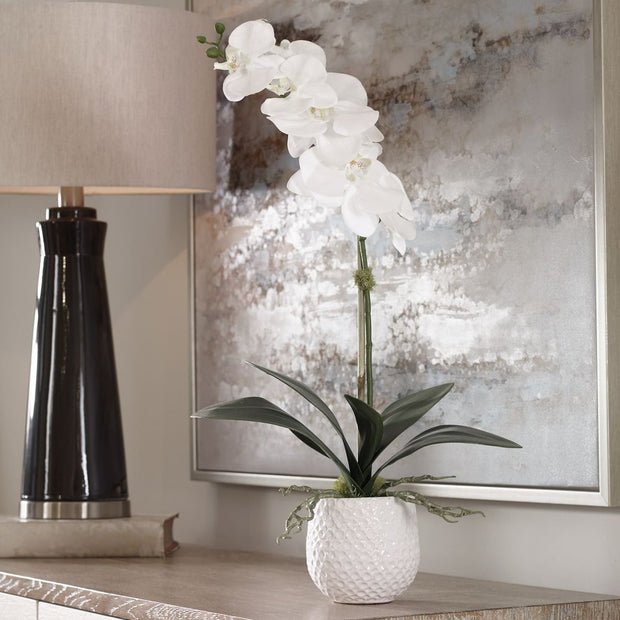 Uttermost Cami Orchid Botanicals