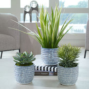 Uttermost Puebla Green Set Of Three Botanicals