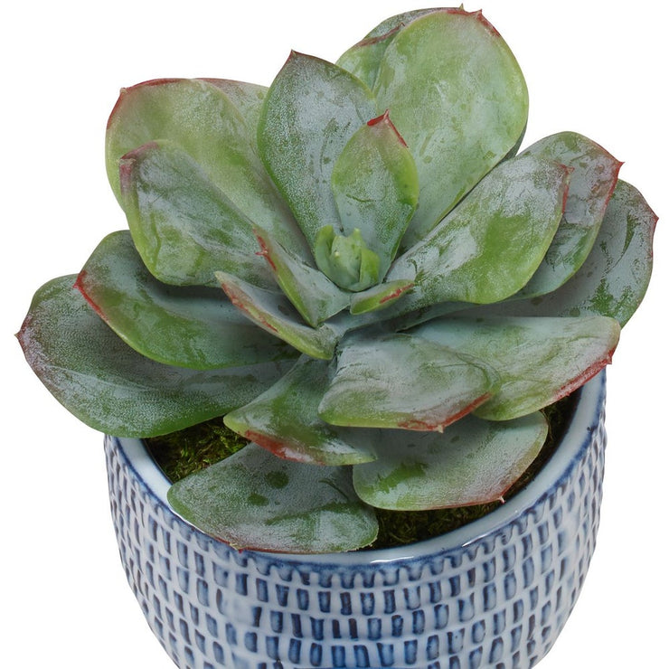 Uttermost Puebla Green Set Of Three Botanicals