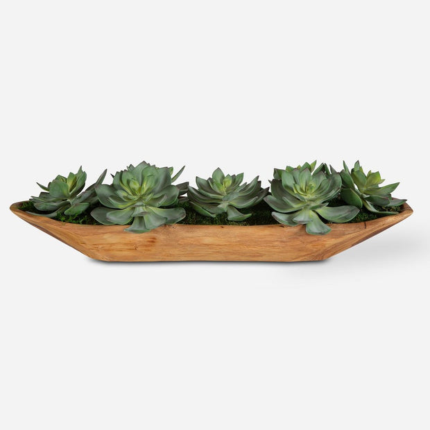 Uttermost Yuma Succulent Centerpiece Botanicals