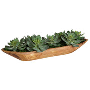 Uttermost Yuma Succulent Centerpiece Botanicals