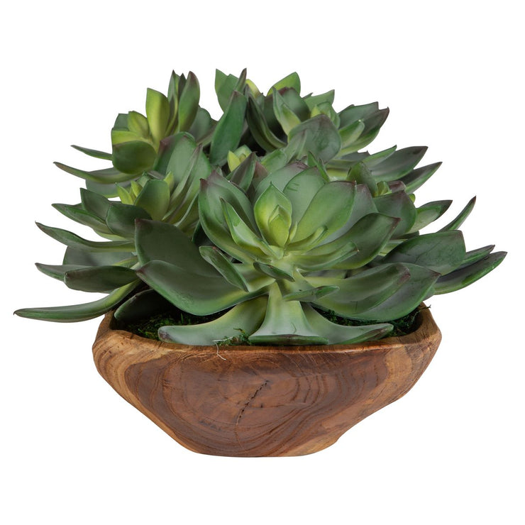 Uttermost Yuma Succulent Centerpiece Botanicals
