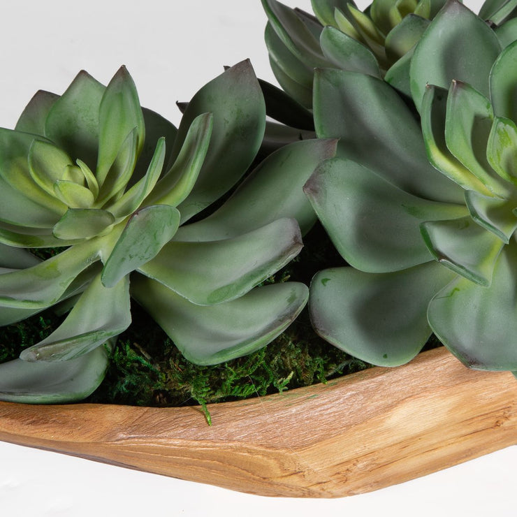 Uttermost Yuma Succulent Centerpiece Botanicals