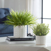 Uttermost Edgewood Greenery Set Of Two Botanicals