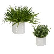 Uttermost Edgewood Greenery Set Of Two Botanicals