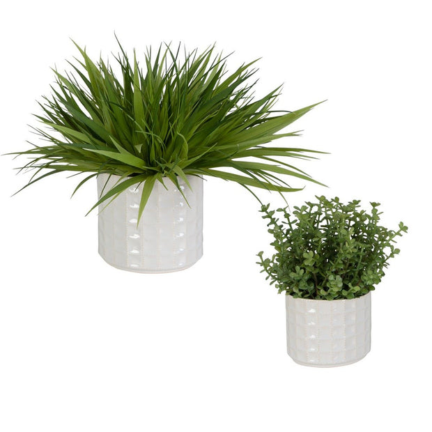 Uttermost Edgewood Greenery Set Of Two Botanicals