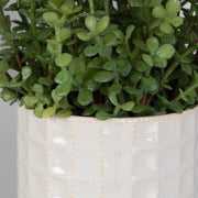 Uttermost Edgewood Greenery Set Of Two Botanicals