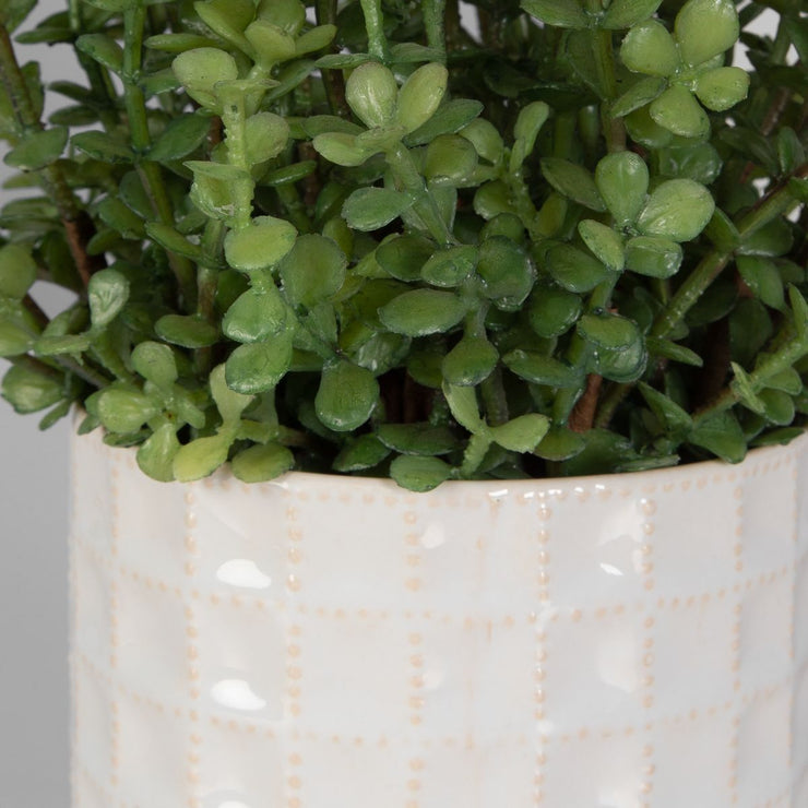 Uttermost Edgewood Greenery Set Of Two Botanicals