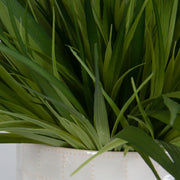 Uttermost Edgewood Greenery Set Of Two Botanicals