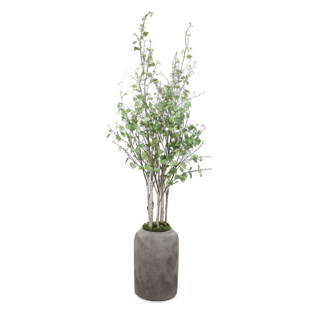 Uttermost Aldis Potted River Birch Botanicals