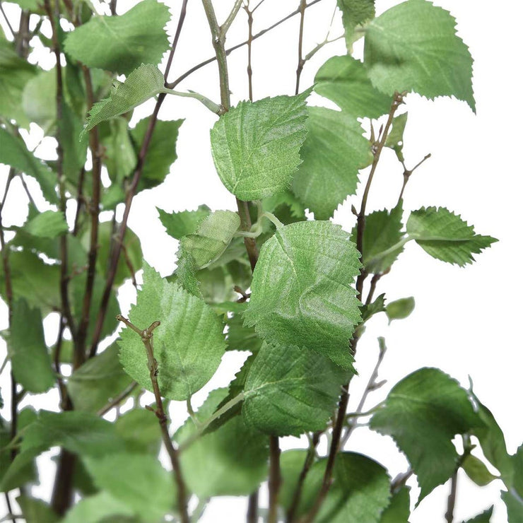 Uttermost Aldis Potted River Birch Botanicals
