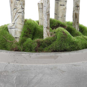 Uttermost Aldis Potted River Birch Botanicals