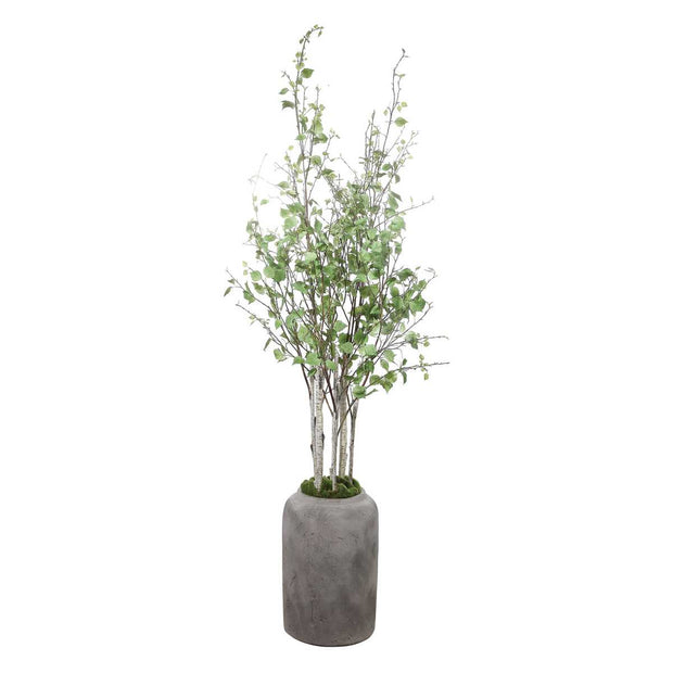 Uttermost Aldis Potted River Birch Botanicals