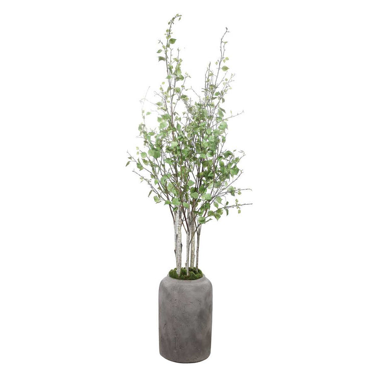 Uttermost Aldis Potted River Birch Botanicals