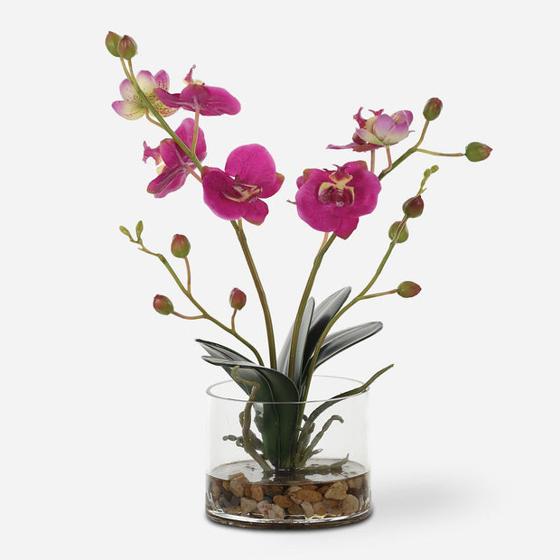 Uttermost Glory Orchid, Fuschia Botanicals
