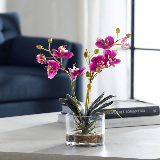 Uttermost Glory Orchid, Fuschia Botanicals