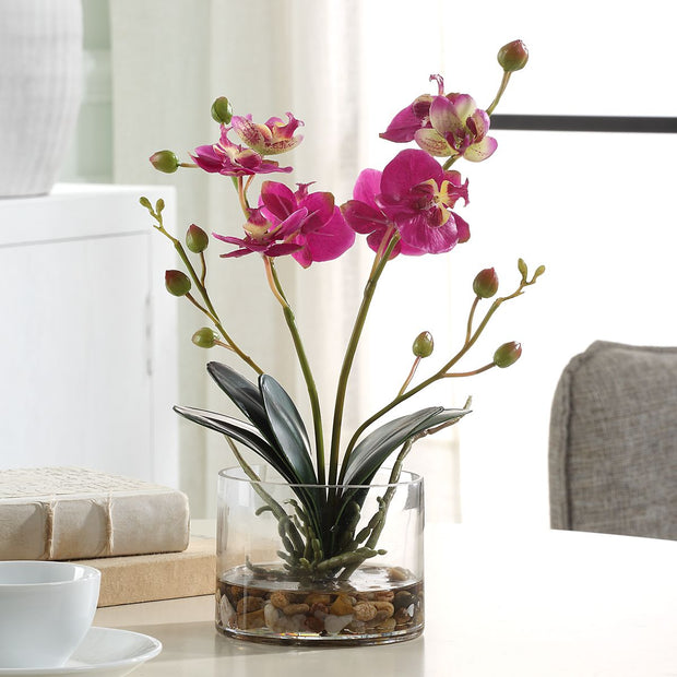 Uttermost Glory Orchid, Fuschia Botanicals
