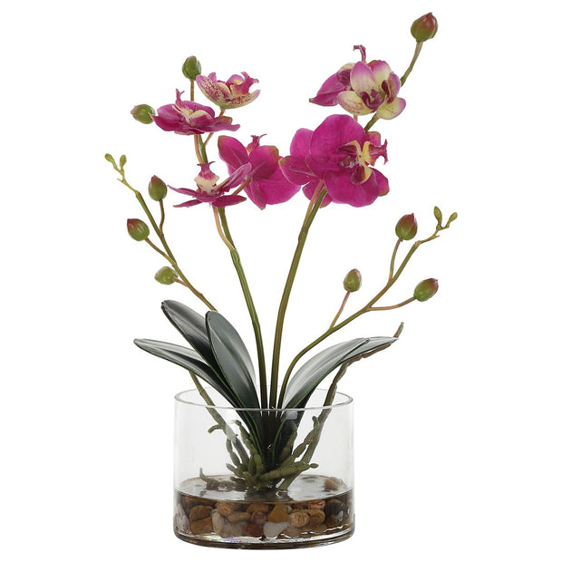 Uttermost Glory Orchid, Fuschia Botanicals