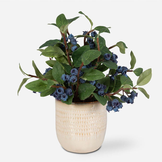 Uttermost Blueberry Fields Accent Botanicals