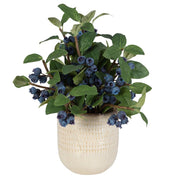 Uttermost Blueberry Fields Accent Botanicals