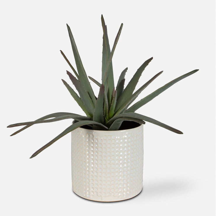 Uttermost Taos Aloe Centerpiece Botanicals