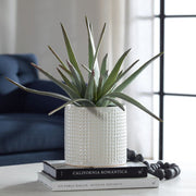 Uttermost Taos Aloe Centerpiece Botanicals