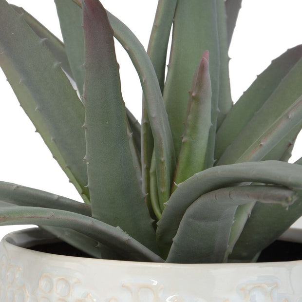 Uttermost Taos Aloe Centerpiece Botanicals