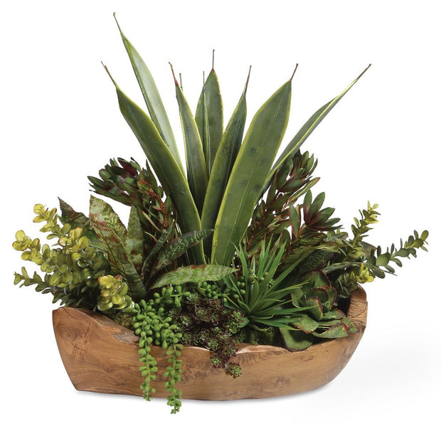 Uttermost Salar Succulents Botanicals