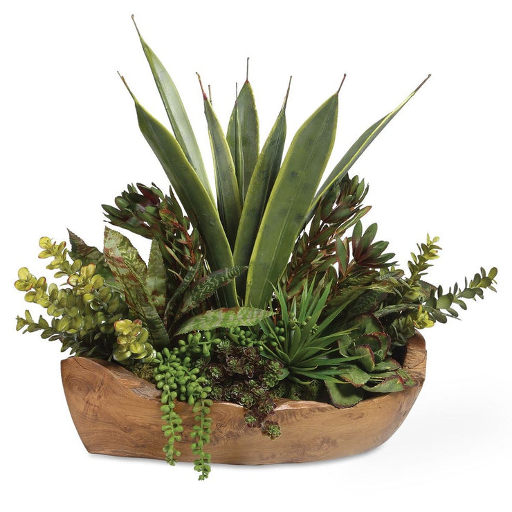 Uttermost Salar Succulents Botanicals