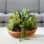 Uttermost Salar Succulents Botanicals