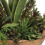 Uttermost Salar Succulents Botanicals