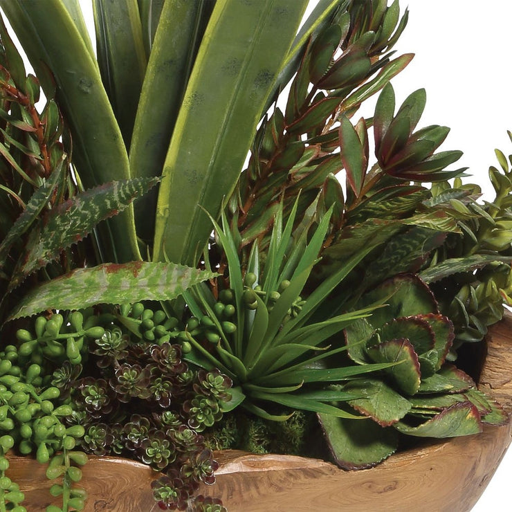 Uttermost Salar Succulents Botanicals