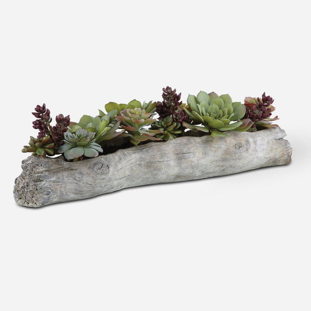 Uttermost Charita Succulents Botanicals