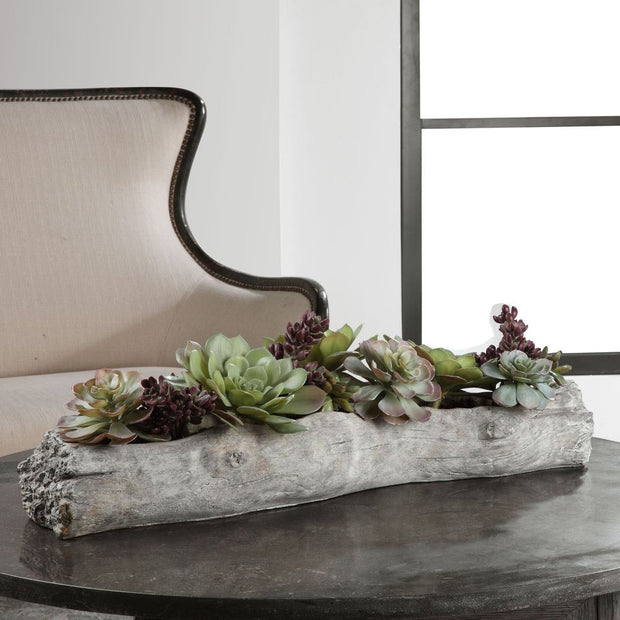 Uttermost Charita Succulents Botanicals