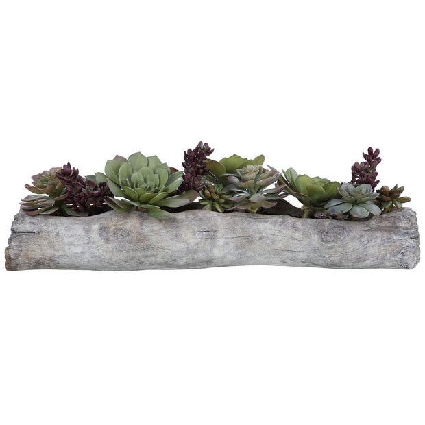 Uttermost Charita Succulents Botanicals