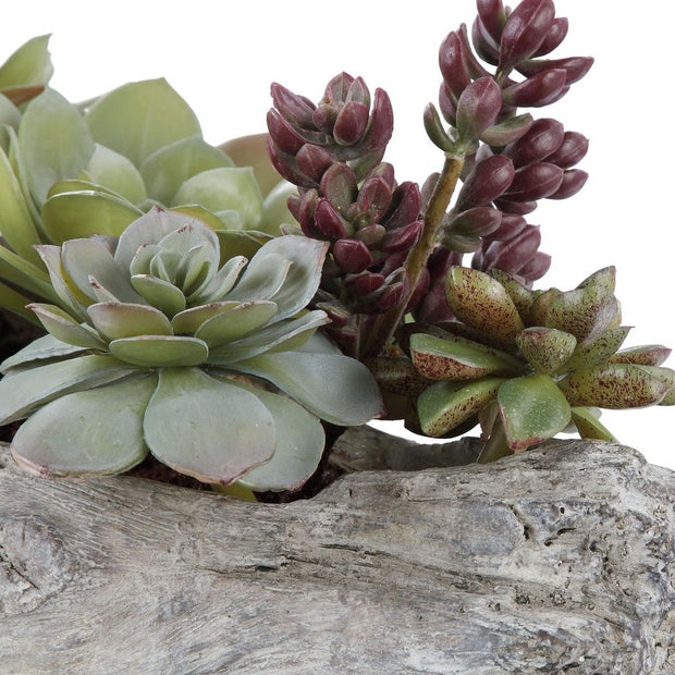 Uttermost Charita Succulents Botanicals