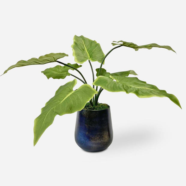 Uttermost Mari Calla Accent Botanicals