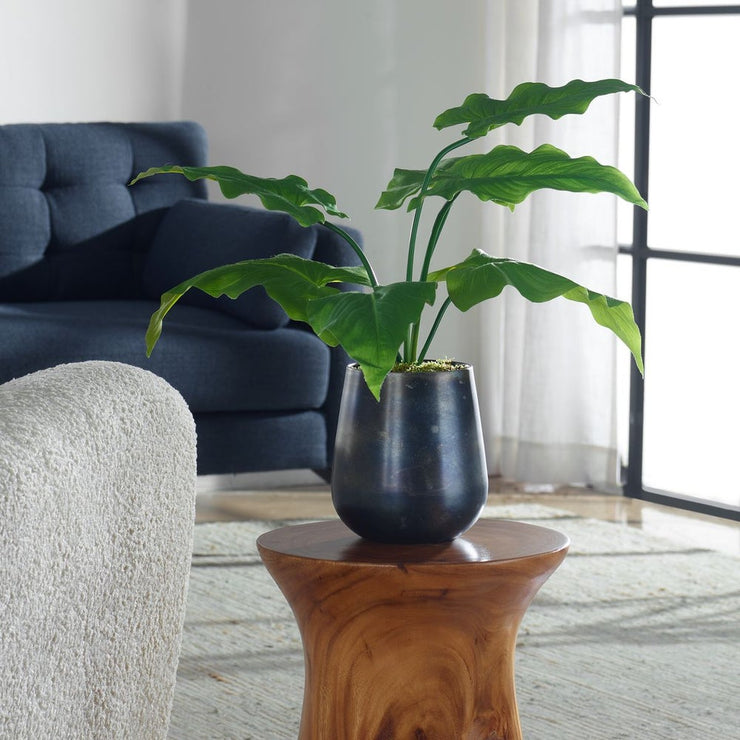 Uttermost Mari Calla Accent Botanicals