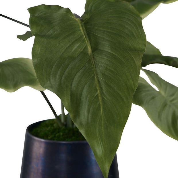 Uttermost Mari Calla Accent Botanicals