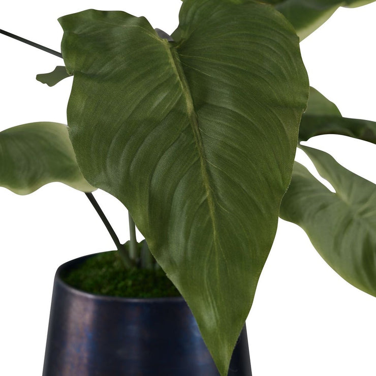 Uttermost Mari Calla Accent Botanicals
