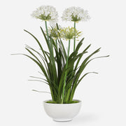 Uttermost Purity Agapanthus Centerpiece Botanicals