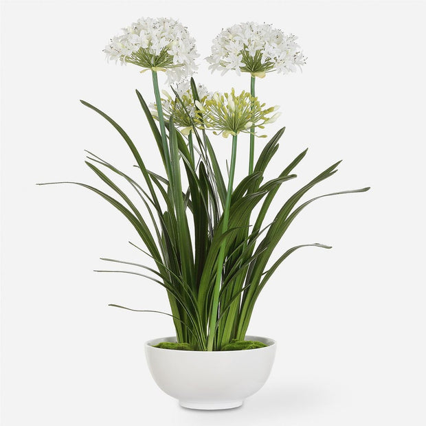 Uttermost Purity Agapanthus Centerpiece Botanicals