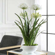 Uttermost Purity Agapanthus Centerpiece Botanicals