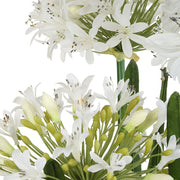 Uttermost Purity Agapanthus Centerpiece Botanicals