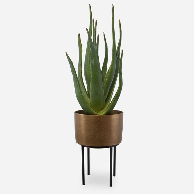 Uttermost Arabia Aloe Planter Botanicals