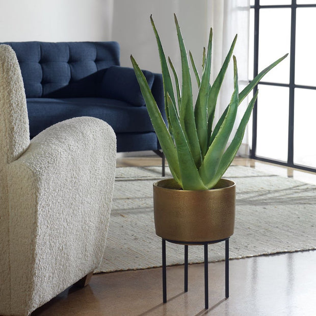Uttermost Arabia Aloe Planter Botanicals