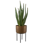 Uttermost Arabia Aloe Planter Botanicals