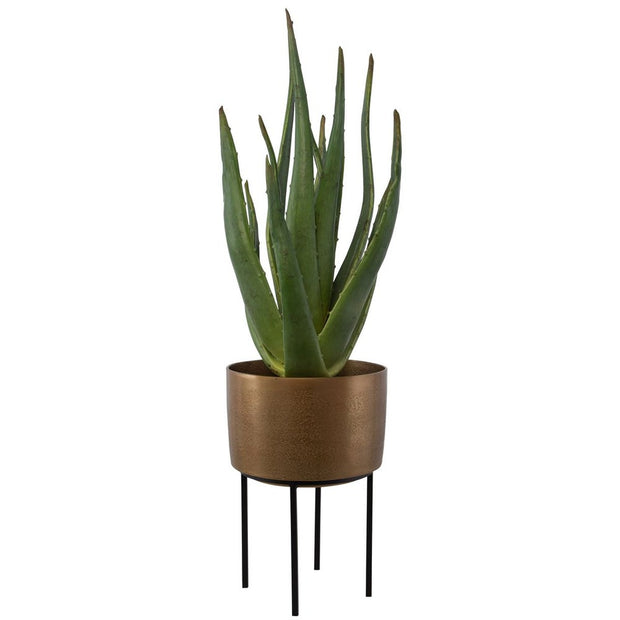 Uttermost Arabia Aloe Planter Botanicals